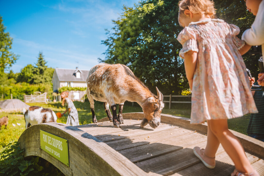 Les Iles, Holiday Park Basse-Normandie - 8