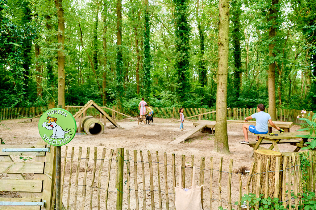 De Waldsang, Holiday Park Friesland - 25